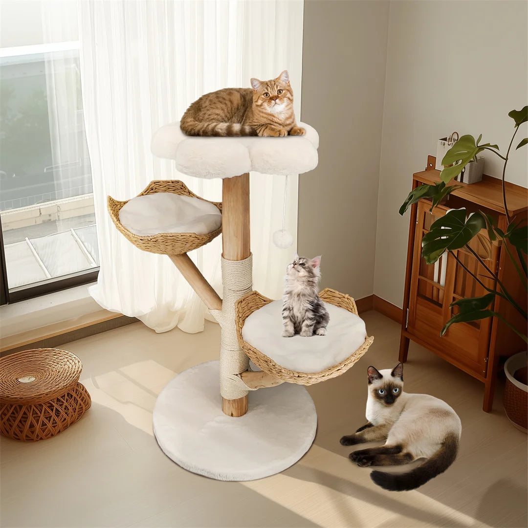 BINGOPAW Solid Wood Cat Climbing Tree With Scratching Post