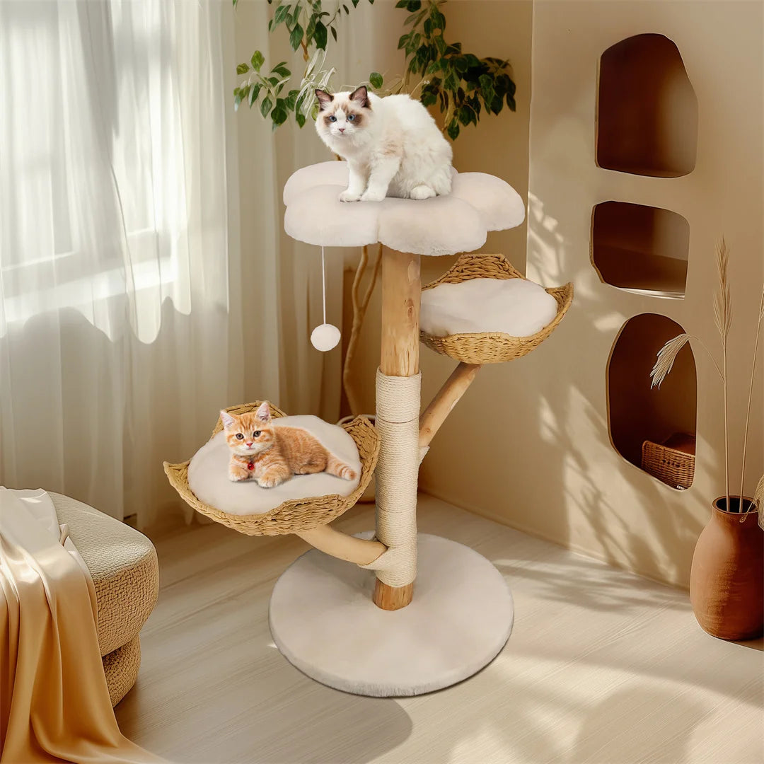 BINGOPAW Solid Wood Cat Climbing Tree With Scratching Post