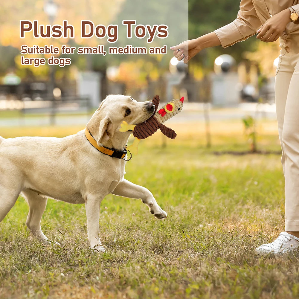 Five Pack Plush Dog Toys Squeaky Assorted Bundle For Dogs