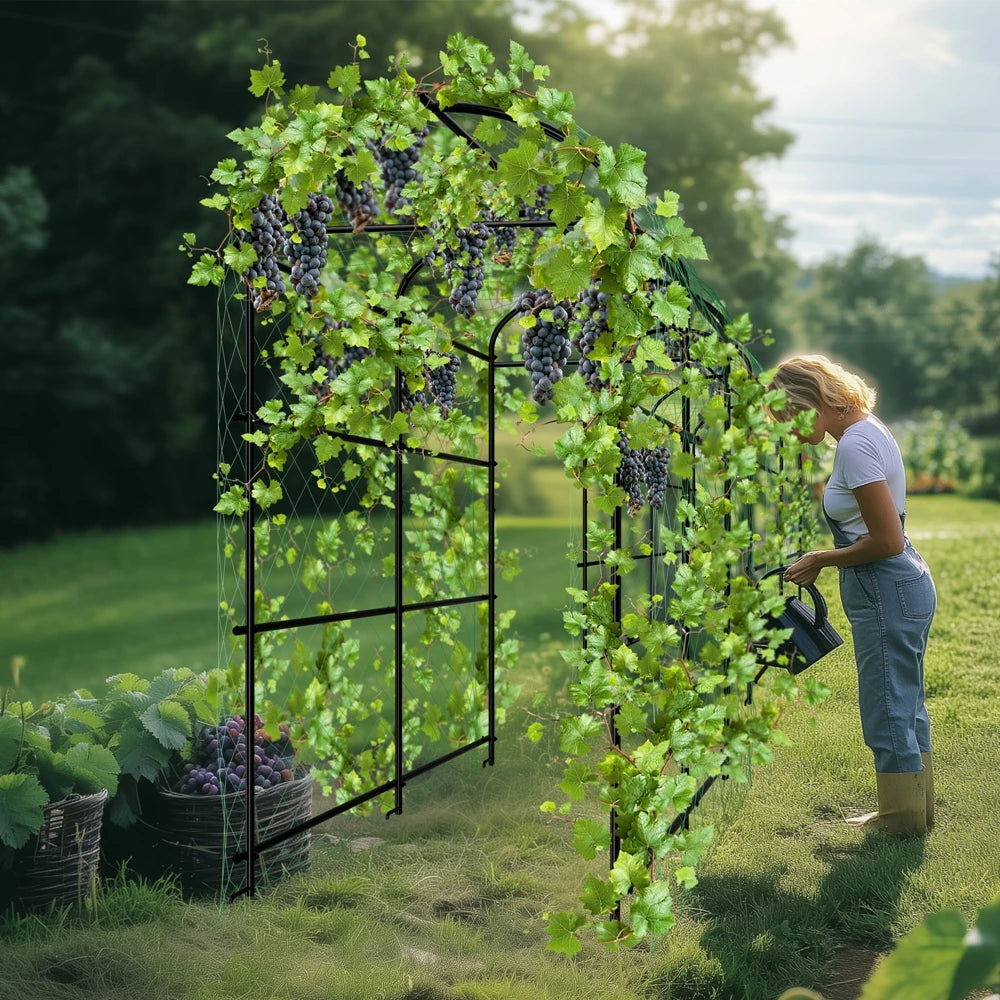Wisfor U-Shaped Metal Tall Garden Plant Trellis For Climbing Vegetables