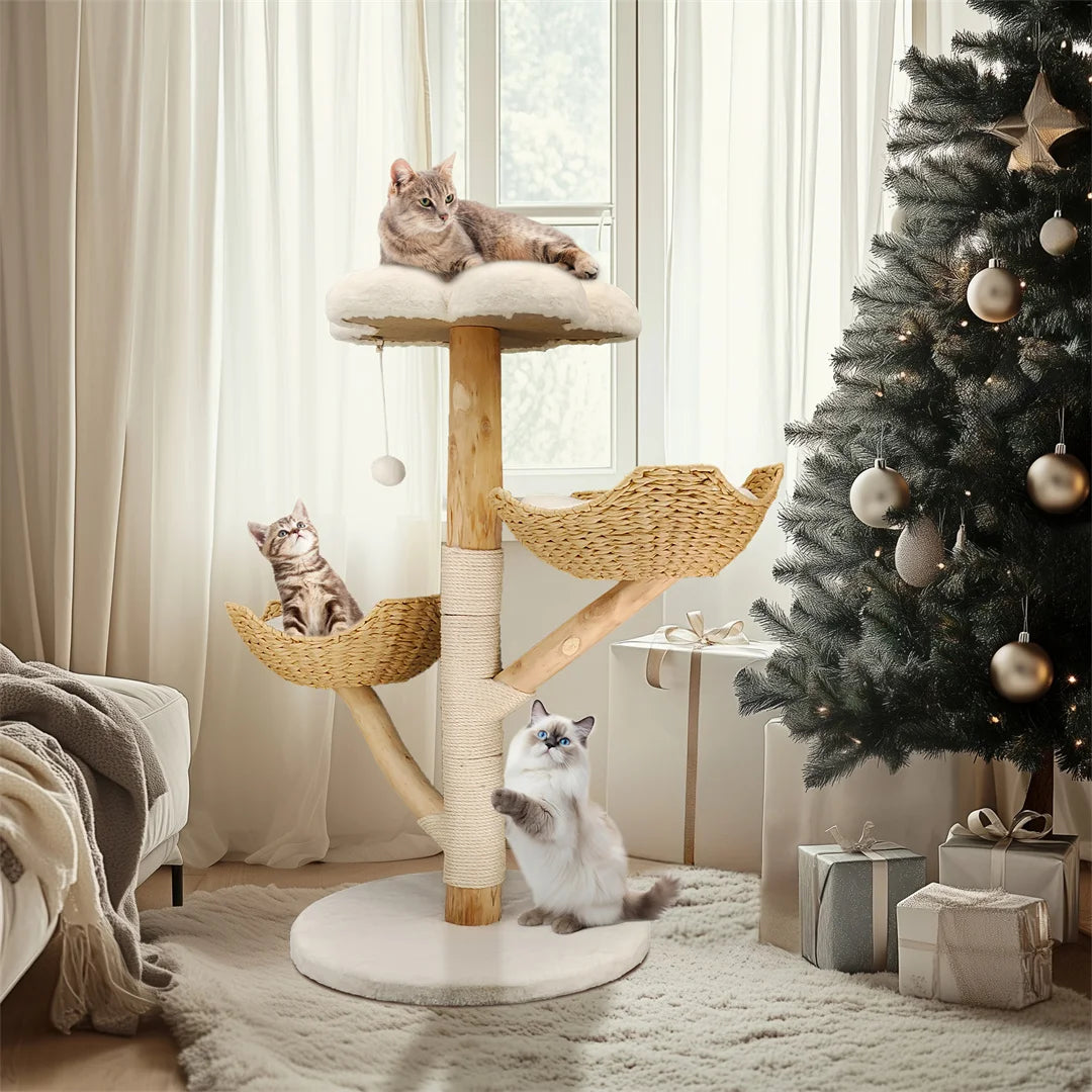 BINGOPAW Solid Wood Cat Climbing Tree With Scratching Post