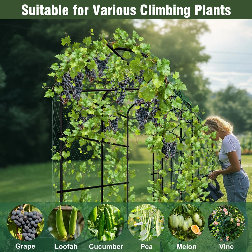 Wisfor U-Shaped Metal Tall Garden Plant Trellis For Climbing Vegetables