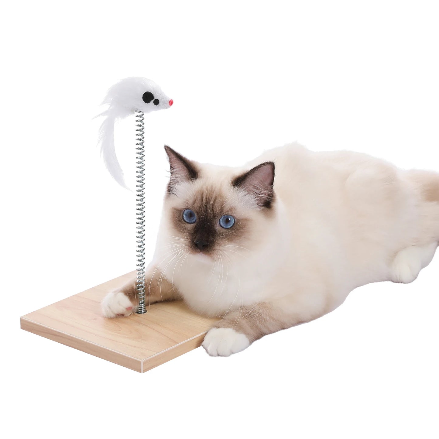 PAWZ Road Wooden Cat Condo House with Soft Mats And Scratcher
