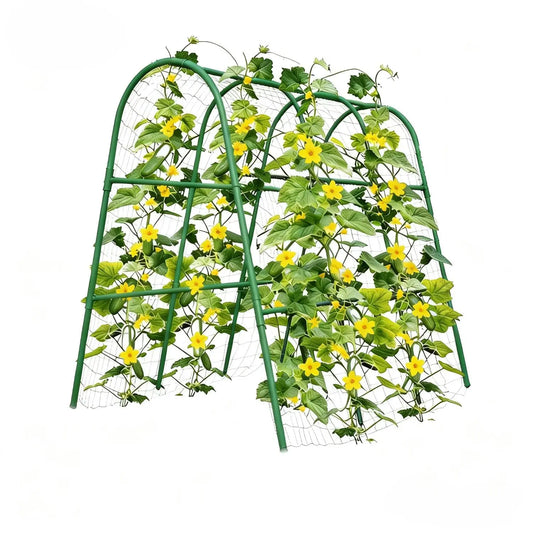 HiMISS Garden Arch Trellis for Raised Beds Cucumbers and Vines