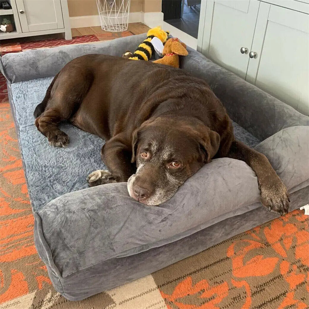 Bingopaw Extra Large Orthopedic Dog Bed With Washable Cover