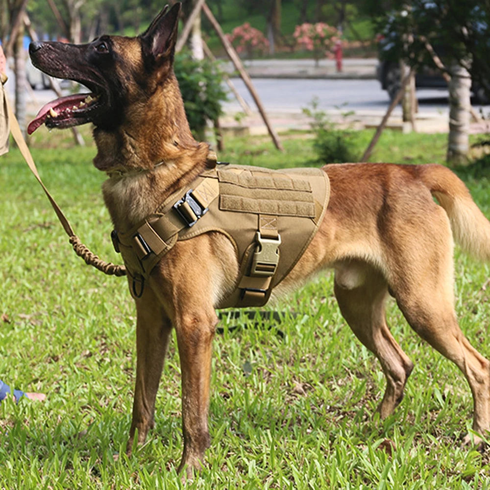 Large Dog Harness And Leash Set Nylon Padded Quick Release Training