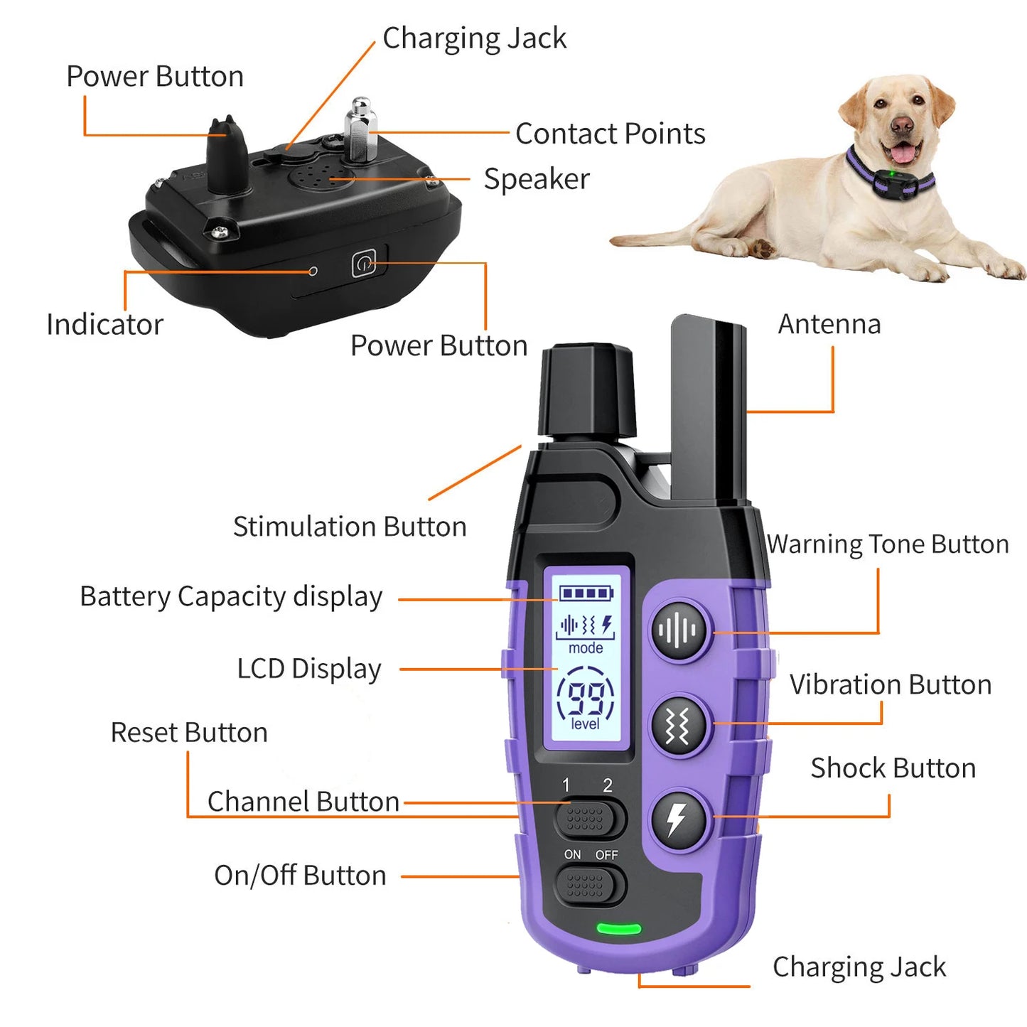 WXRPET Electric Dog Training Collar With Remote Beep Vibration Waterproof