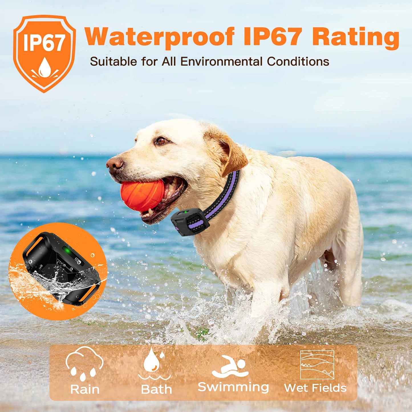 WXRPET Electric Dog Training Collar With Remote Beep Vibration Waterproof
