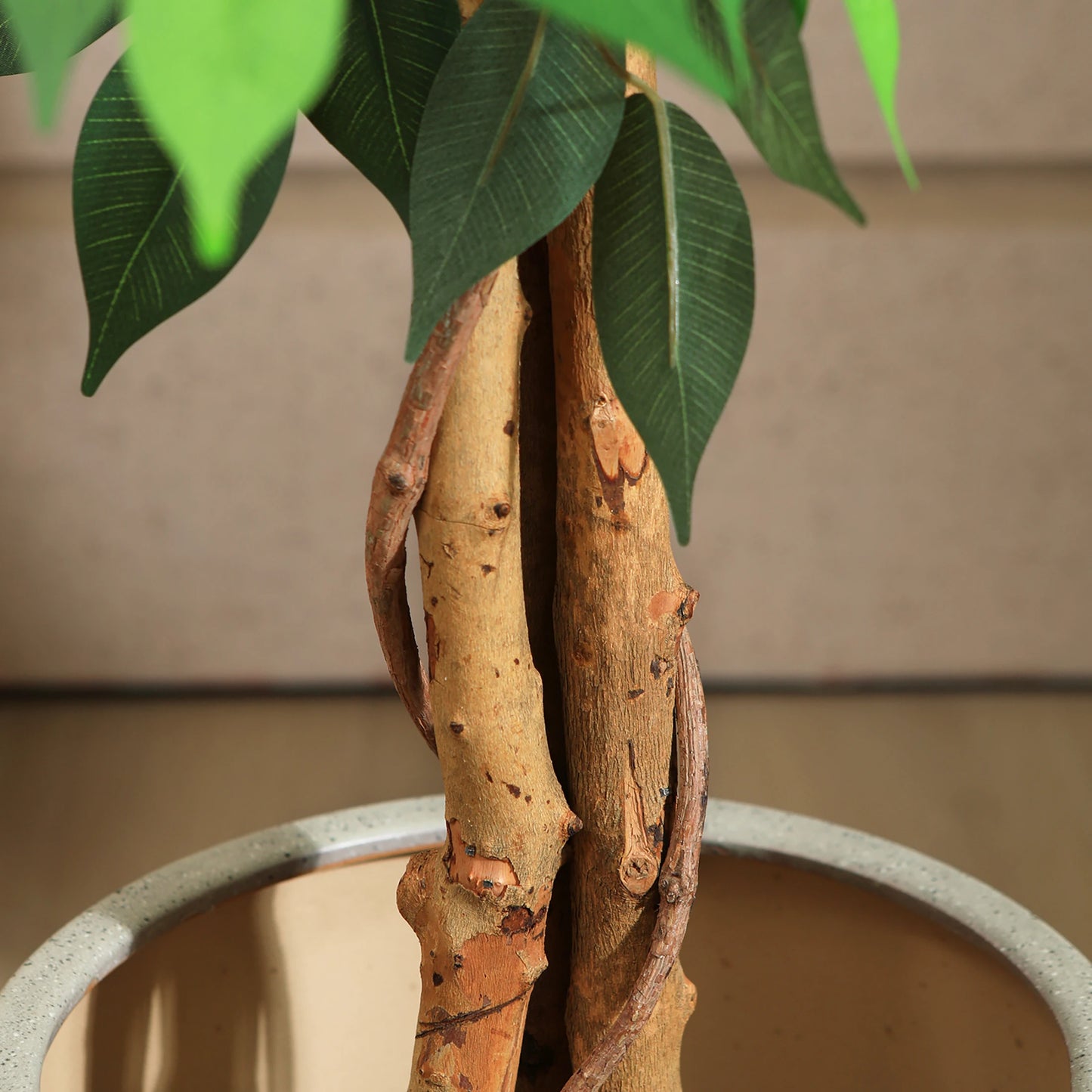 Kazeila Artificial Ficus Tree With Natural Curved Trunk Home Office Decor