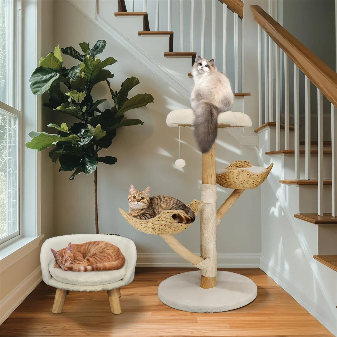 BINGOPAW Solid Wood Cat Climbing Tree With Scratching Post
