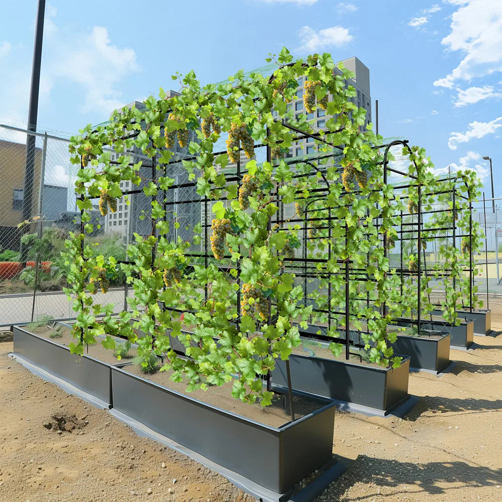 Wisfor U-Shaped Metal Tall Garden Plant Trellis For Climbing Vegetables