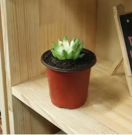 Plastic Flowerpot Grow Box With Fall Resistant Tray For Garden