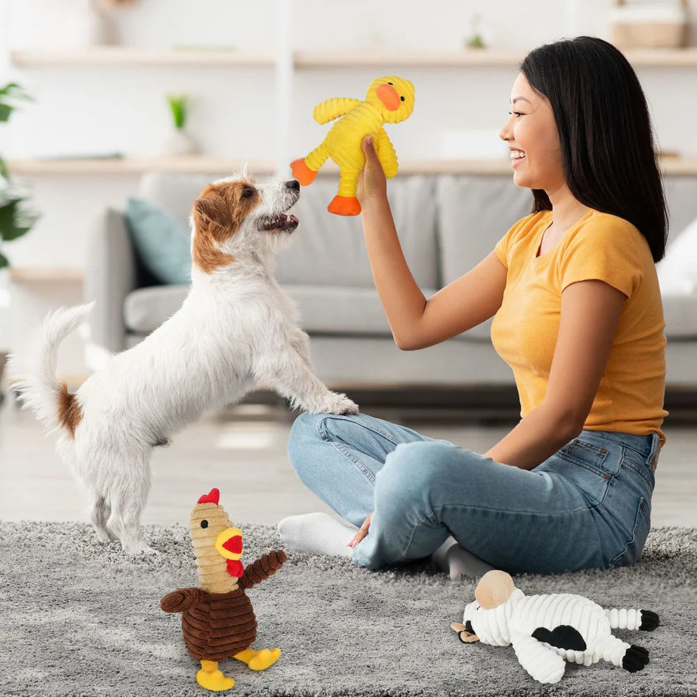 Five Pack Plush Dog Toys Squeaky Assorted Bundle For Dogs