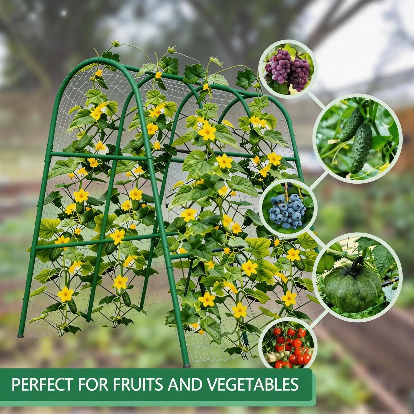 HiMISS Garden Arch Trellis for Raised Beds Cucumbers and Vines