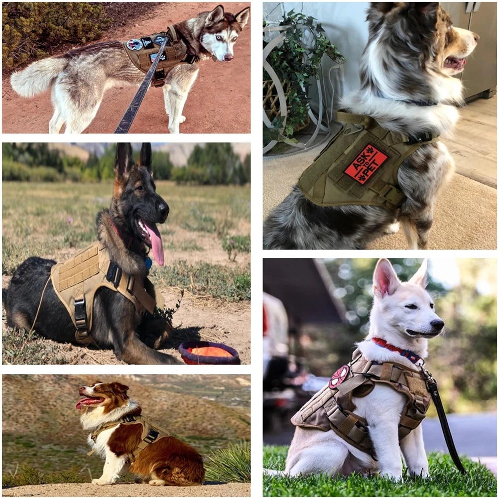 Military Large Dog Harness Vest For Training And Tactical Gear