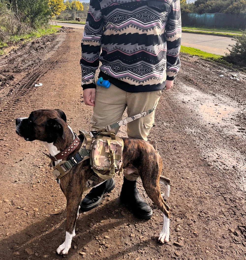Military Large Dog Harness Vest For Training And Tactical Gear