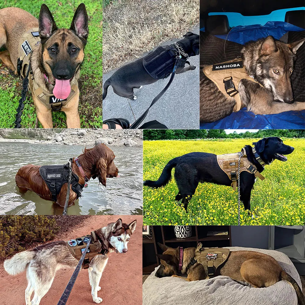PETRAVELCN Military Large Dog Harness Vest Set for Malinois Training