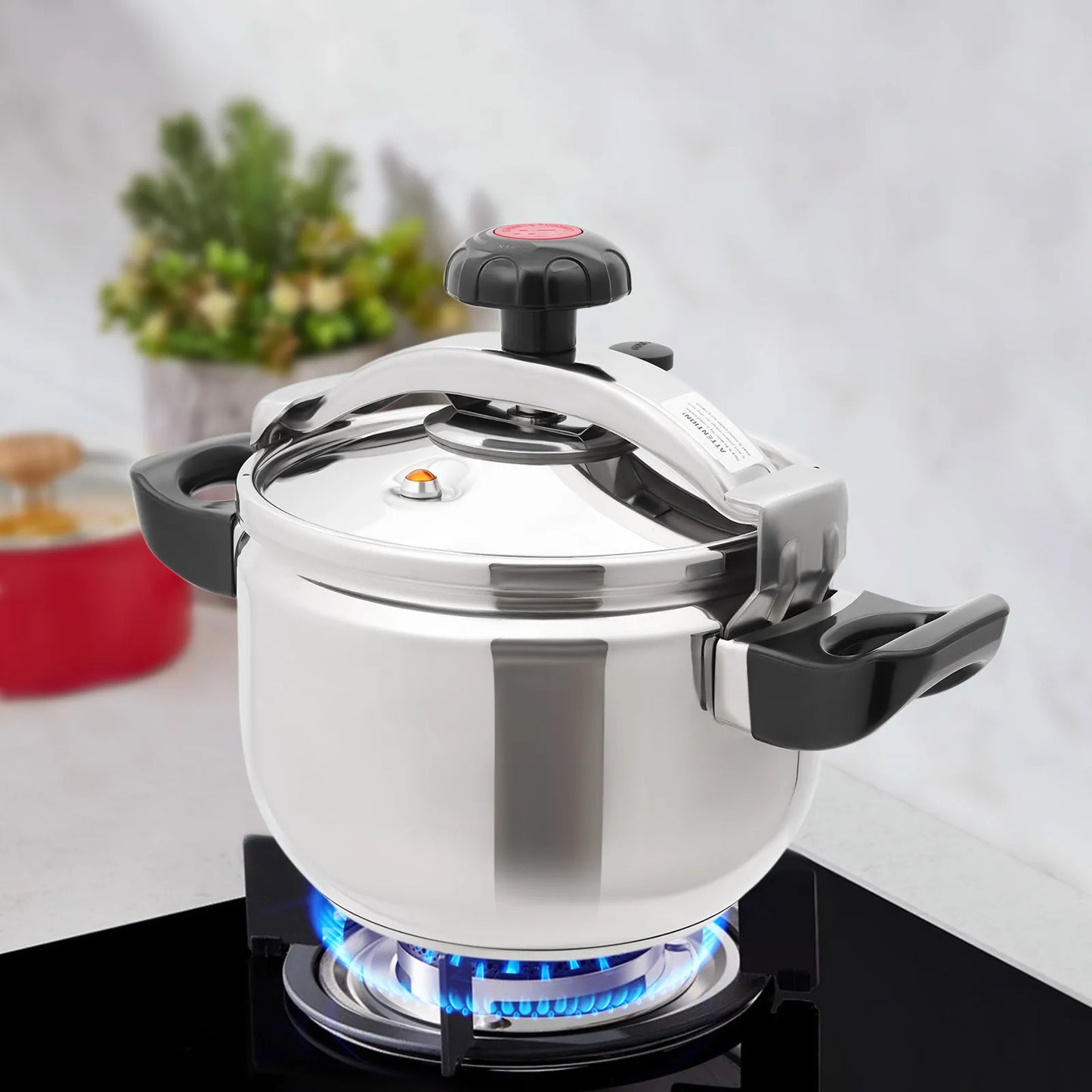 Bymaocar Silver 201 Stainless Steel Round Pressure Cooker