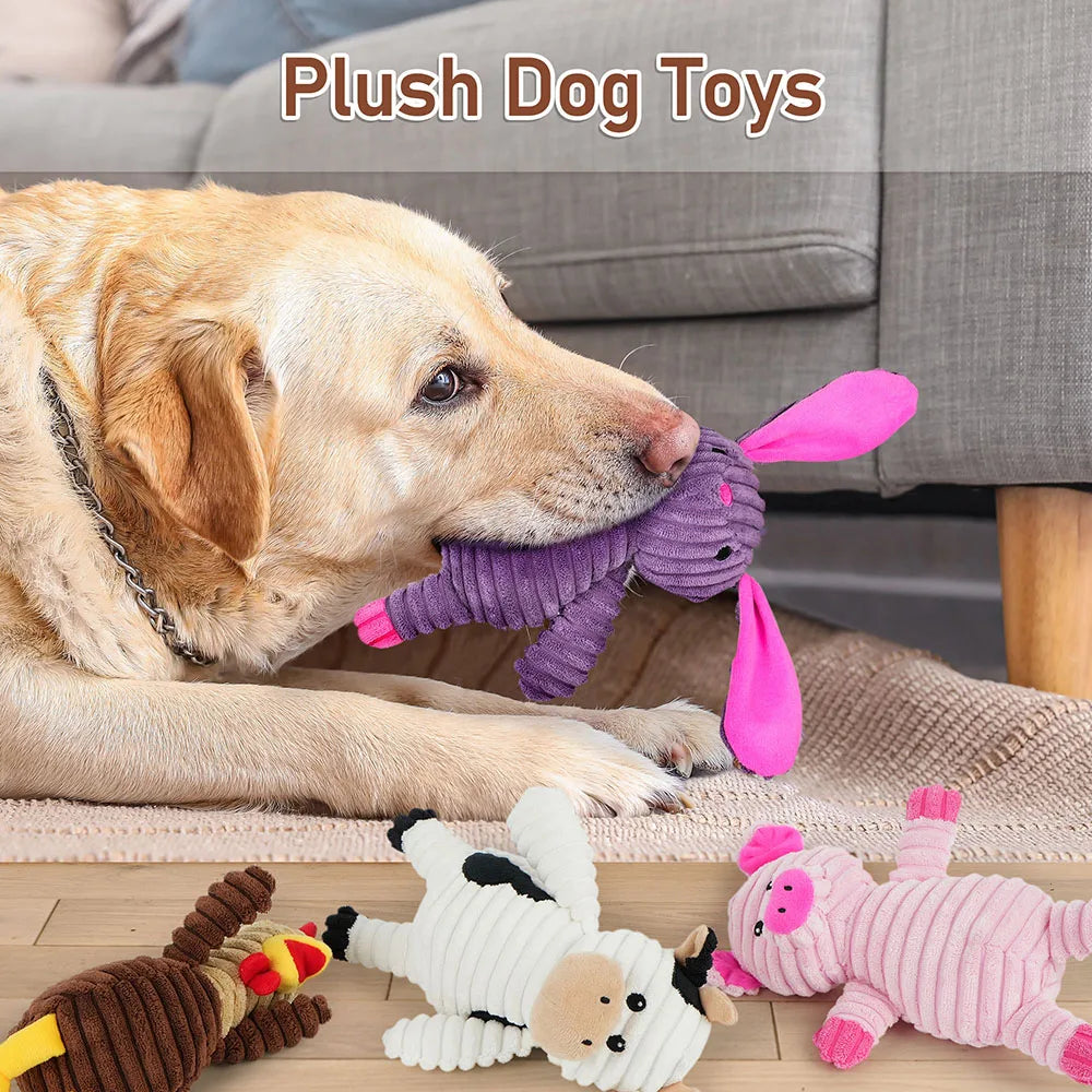 Five Pack Plush Dog Toys Squeaky Assorted Bundle For Dogs